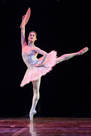 Marianela Nunez performing in The Classical Farewell